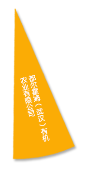 ҫ(й) - ٷվ