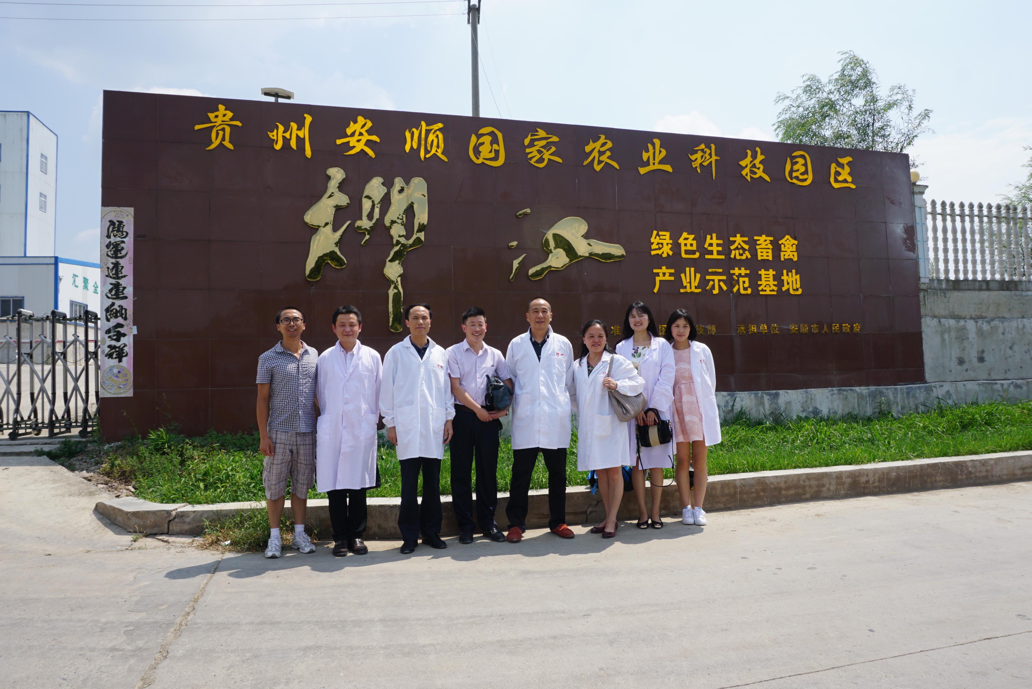 荣耀国际(中国区) - 官方网站